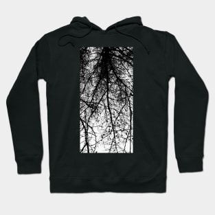 Under the Trees Cont'd Hoodie